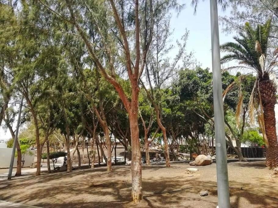 Apartamento Jable Arrecife  Exterior photo